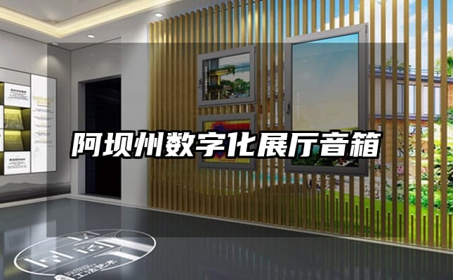 阿坝州数字化展厅音箱